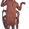 Cockroach Costume: Quirky Halloween Cosplay Doll Outfit for Viral Street Style.