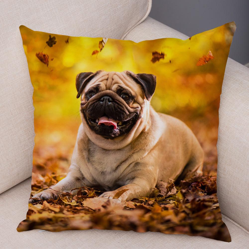 Cute Pug Dog Cushion Cover Both Sided Print Decor Pet Animal Pillowcase for Car Sofa Home Car Soft Plush Throw Pillow Case