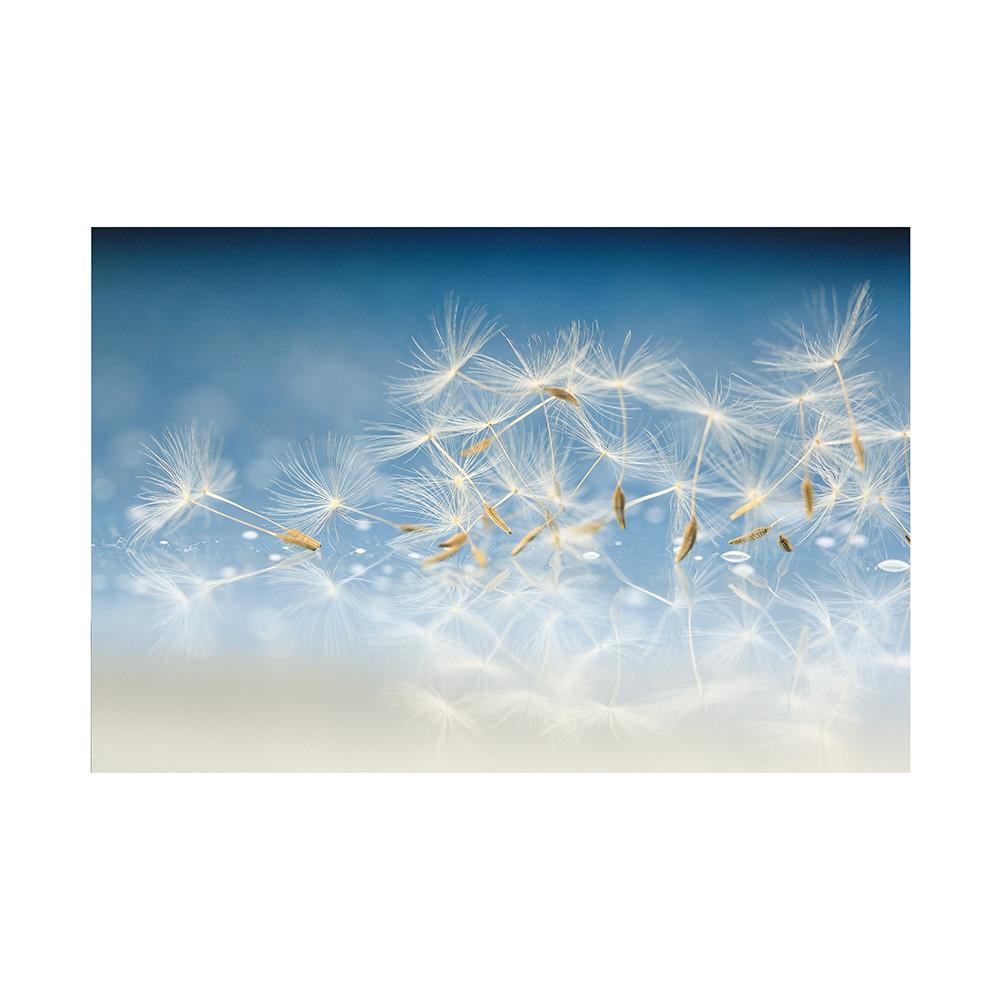 Romantic Dandelion Background Tapestry for Events,Party Banner,Home Decor,Weddings,Photo Booths
