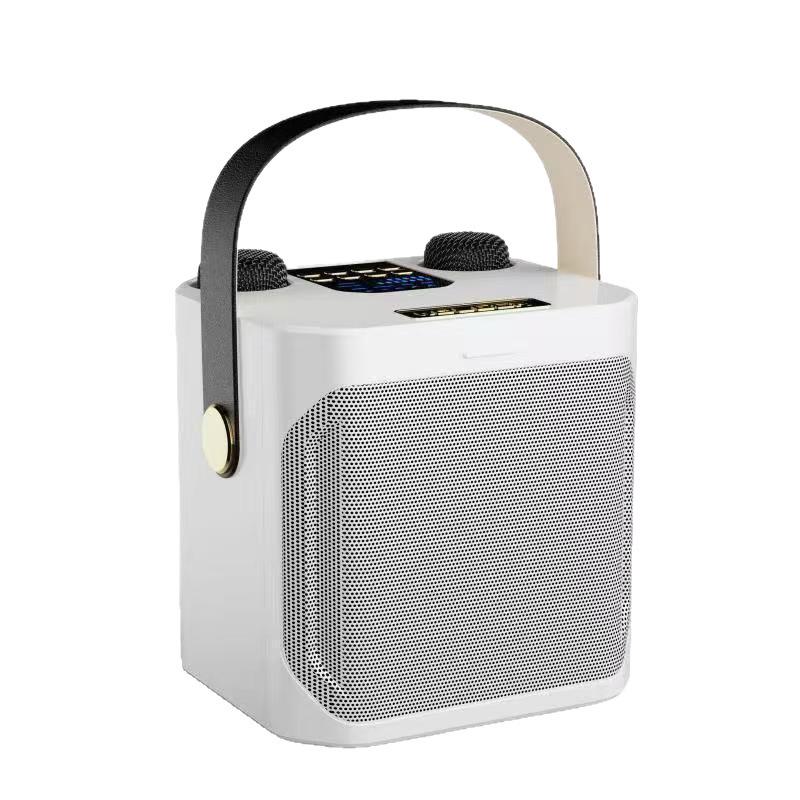 S882 Outdoor Bluetooth Speaker & Microphone KTV Set with Subwoofer