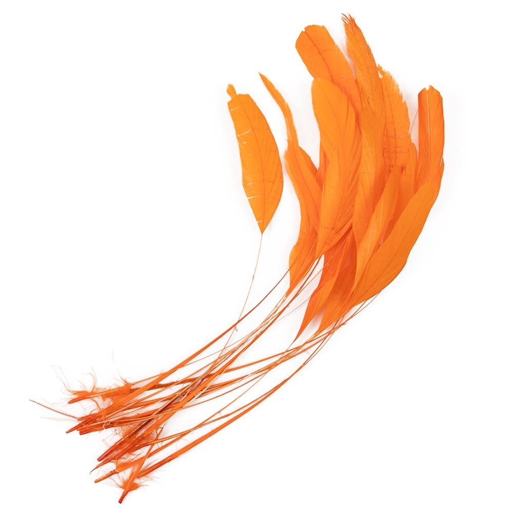10Pcs Natural Feather Rooster Feather Multicolor Craft Feathers Wedding Decor