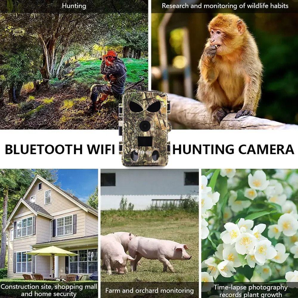 No Glow Night Vision PR8000 Wifi Camera 8K 120° Motion Wildlife Photo  Pasture