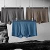 Men's Seamless Warm Underwear: Soft, Breathable, Antibacterial Mulberry Silk with Acrylic Brushing, for Autumn and Winter.