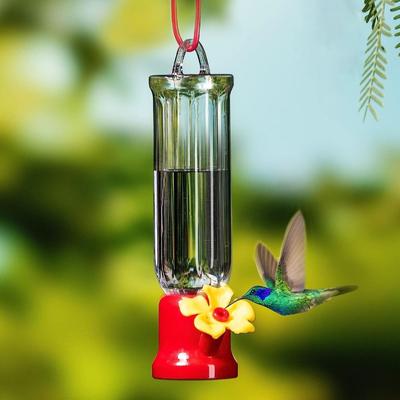 1Pc Portable Bird Water Feeders With Hanging Wires Transparent Plastic Leak-proof Hummingbird Feeding Bottle Bird Supplies