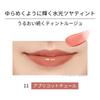 Ettusais Lippen-Edition (Tönung Rouge) 11 Apricot Couture Lippenstift 2 g – lang anhaltende Farbe
