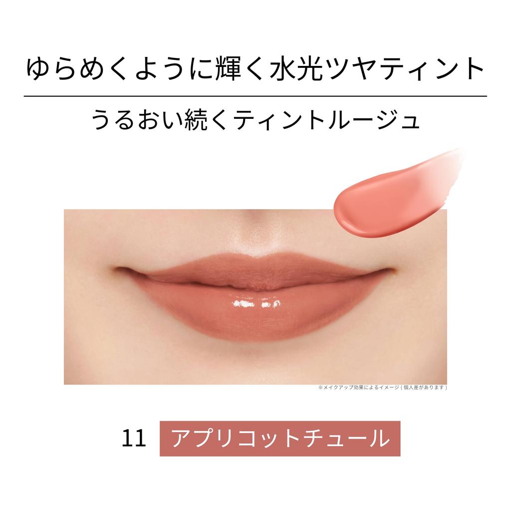 Ettusais Lippen-Edition (Tönung Rouge) 11 Apricot Couture Lippenstift 2 g – lang anhaltende Farbe