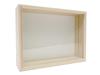 Insectech Paulownia Wood Specimen Medium Size Box (glass Lid)