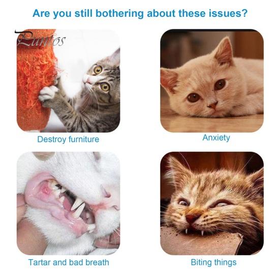 Interactive Cat Stick Toy Playing Teaser Wand with Crisp Bells Scratch-Resistant Bite-Resistant Cute Cartoon Relieve Boredom Soft Cat Tease Stick