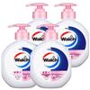 Walch Healthy Antibacterial Moisturizing Hand Wash (4-Pack)