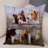 Printed Pet Animal Cushion Cover Scotland Border Collie Soft Plush Pillowcase Decor Cute Dog Pillow Case for Sofa Car