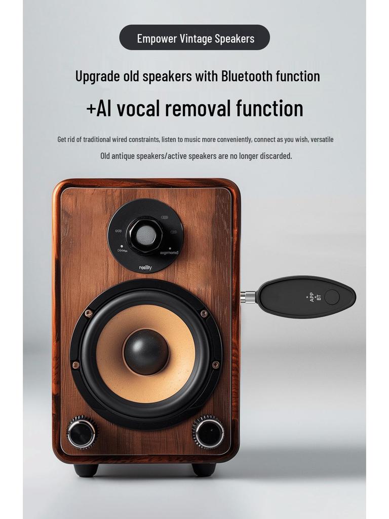 Vocal Remover & Speaker Connector for Live Streaming and KTV Accompaniment