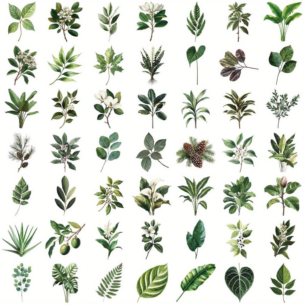 50pcs transparent plant leaf series stickers, suitable for faith based designs such as scrapbooks, diaries, laptops, water bottl