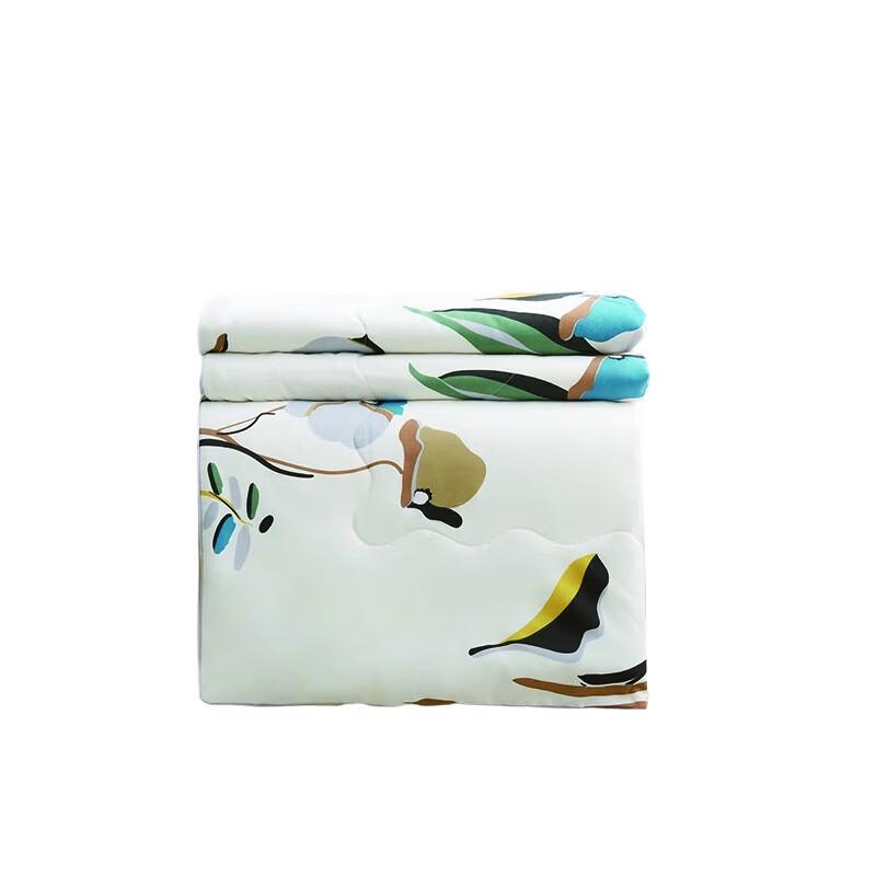 

Grace Printed Antibacterial Washable Summer Quilt