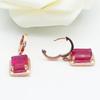 Purple Gold-Plated Rose Gold Square Redstone Earrings, Fashionable And Exquisite Trendy Personalized Colored Gold Earrings.