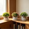 Full Sky Star Artificial Flower Pot For Home Decor And Photography Prop