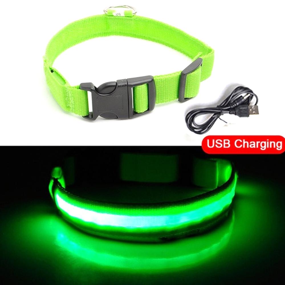 led collar