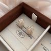 Zircon Square Earrings Women'S Light Luxury High-End Sense Versatile Earrings 20 Niche Unique Temperament Earrings