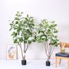 Luxurious Hydrangea Floor Plant - Elegant Green Indoor Decor for Living Rooms