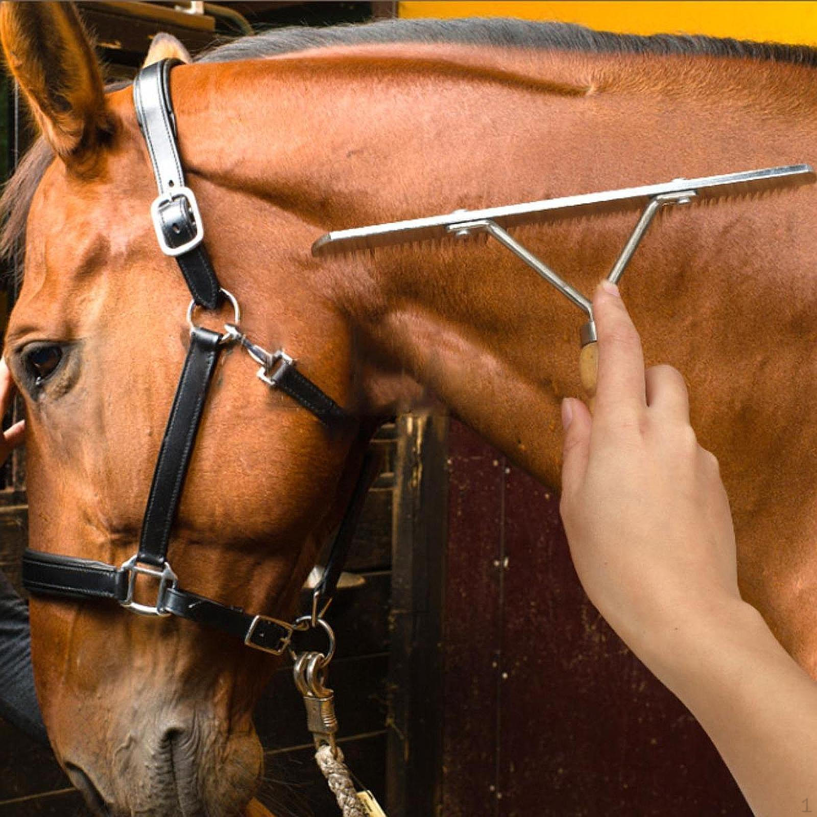 

Щетка для волос для домашних лошадей с бамбуковой ручкой, расческа для волос