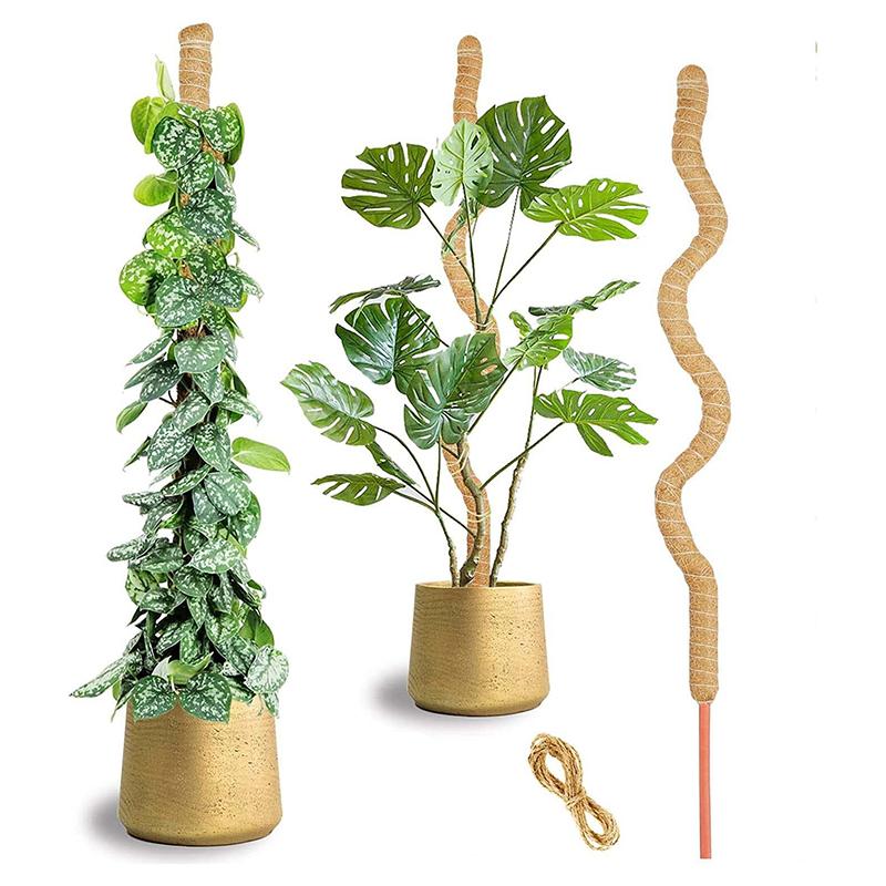 Plant Climbing Frame Coconut Shell Moss Palm Cane Gardening Coconut Rod Stretch Plant Climbing Pole Indoor Plant Creeper