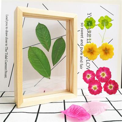 DIY Vintage Fashion Art Photo Frame Wooden Picture Holder Plant Specimen