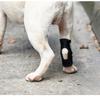 Updated Protects Bandage Dog Protector Cover Dog Leg Support Dogs Hock Joint Brace Pet Knee Pads Dogs Injury Recovery