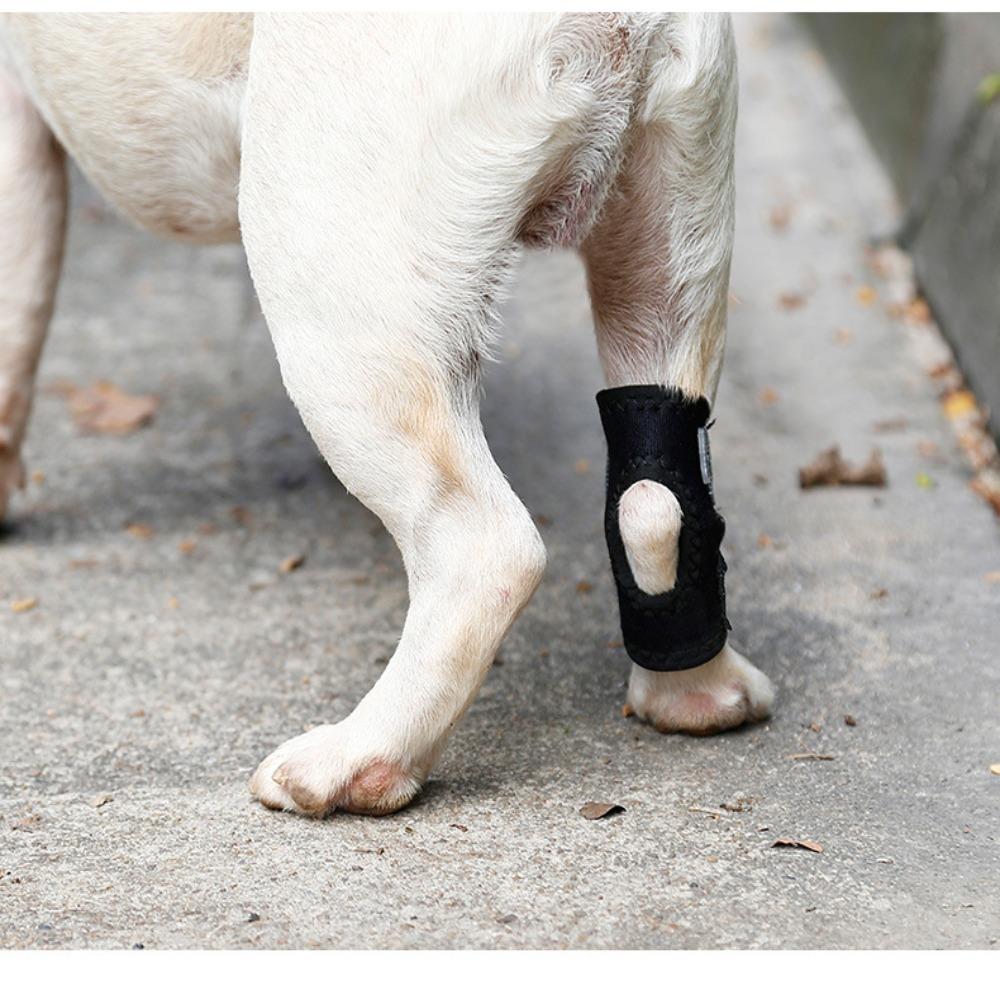 Updated Protects Bandage Dog Protector Cover Dog Leg Support Dogs Hock Joint Brace Pet Knee Pads Dogs Injury Recovery