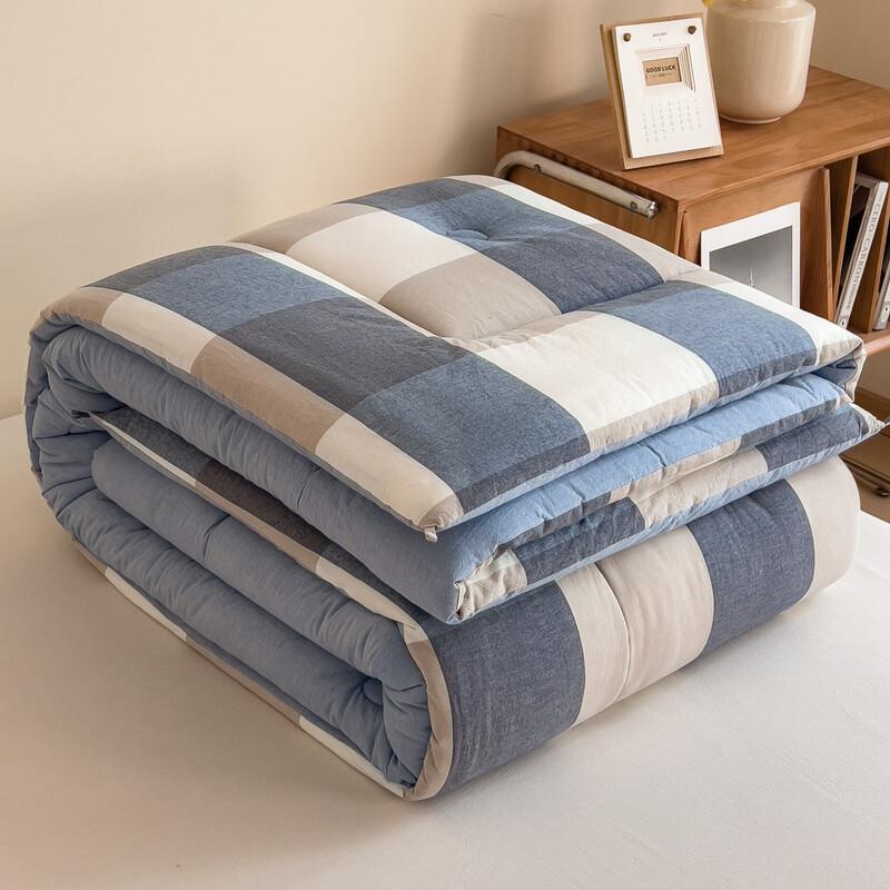 Southern Life 10A Antibacterial All-Season Fiber Quilt