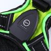 LED Flashing Dog Vest with USB Charging and Explosion-Proof Design