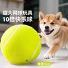 Interactive Bite Resistant Dog Toy Ball Chew Grinding Toy For Small Medium Large Dogs