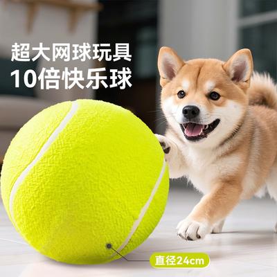 Hunde – Hundespielzeug