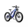 DUOTTS E26 26" Fat Tire Electric Mountain Bike 750W Motor 48V 20Ah Battery