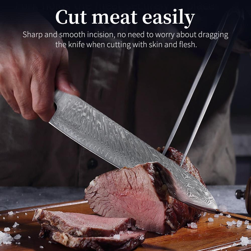 FINDKING Luxury Blue Resin Sapele Wood Handle 9.5 Inch Gyuto Knife 67 Layers Damascus Steel Japanese Kitchen Chef Knife