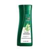 Runfa Plant Amino Acid Anti-Dandruff Shampoo