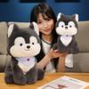 Sitting Husky Doll Plush Toy Puppy Dog Doll Children's Company Soothing Ragdoll Doll