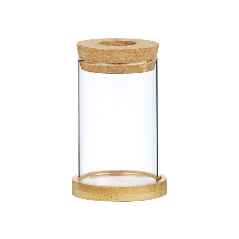 Mini Glass Flower Pot for Indoor Plants - Hydroponic Ornament with Moss Landscape