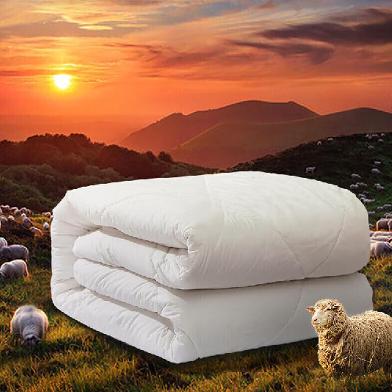 FUANNA Zhen Xin All-Season Australian Wool Duvet