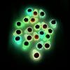 10/20/30Pcs Mini Turtles Glowing In The Dark Miniatures Animal Resin Figurines Micro Landscape DIY Garden Decoration
