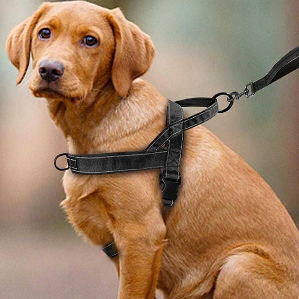 No-Pull Dog for Large Dogs with Leash, Adjustable Vest for Walking and Training