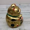 Tillverkad i Japan Lycklig Daruma Katt Guld (Stor)