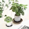 Plant Saucer Round Planters Support Drainage Rack Stand Plant Pot Tray  for Garden
