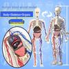 Children's DIY Human Skeleton Model Educational Toy Set for Early Science Learning