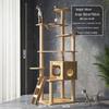 Jingzhou Multi-Level Cat Tree & Activity Center