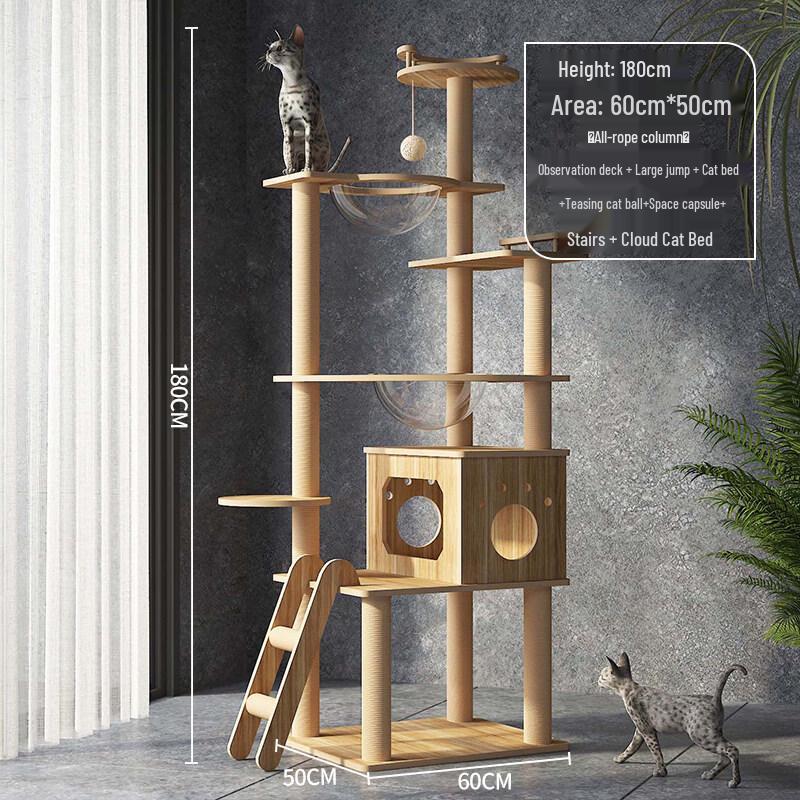 Jingzhou Multi-Level Cat Tree & Activity Center