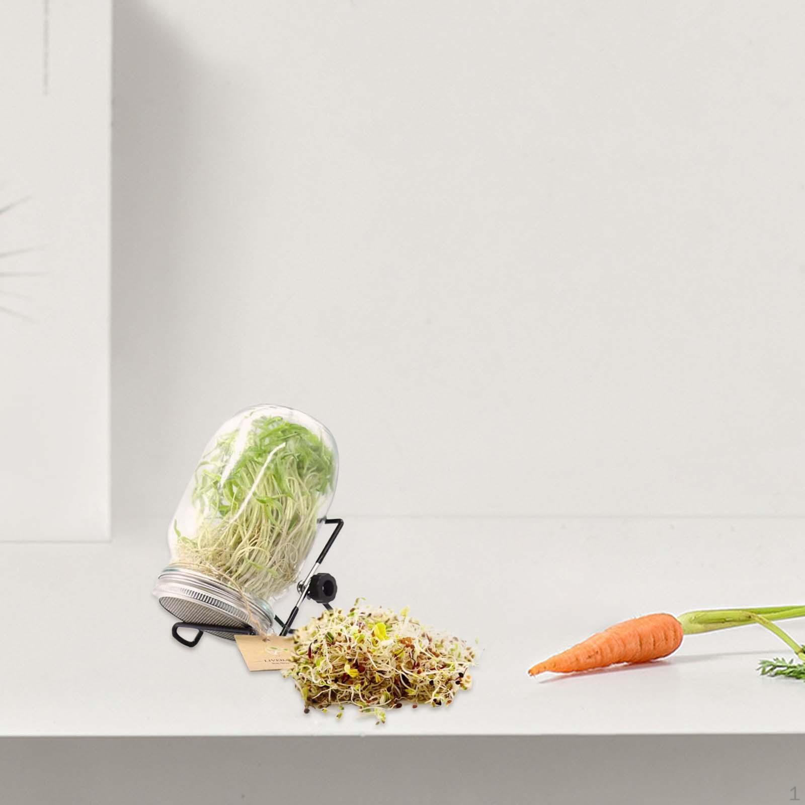 

2 шт. Стеклянные банки для проращивания, легкие подставки для домашнего использования 500ml