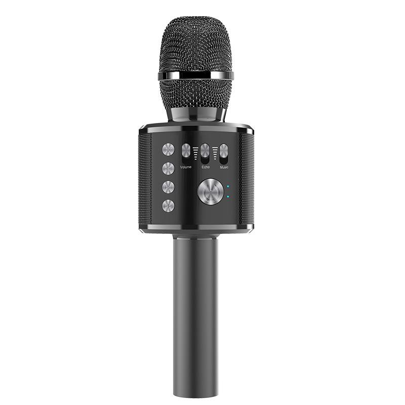 Wireless Home Karaoke Microphone for Kids with Built-in Speaker