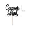 Graduation Season Cake Plug Cake Plug Graduation Mat Cake Decoration Party Bakery Decoration