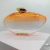 Women's Fashion Acrylic Clear Handbag: Trendy Evening Clutch