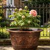 Bronze Embossed Flower Pot Thickened Resin Decorative Planter with Drainage Holes Impact Resistant Plant Large Capacity Outdoor Garden Chinese