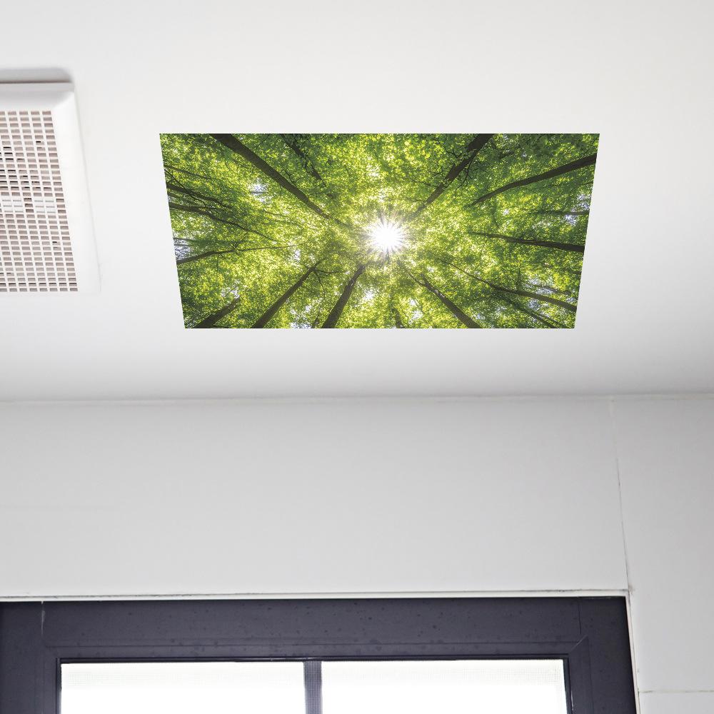 Spring Sunshine Forest Ceiling Roof Bedroom Living Room Home Beautification Stickers